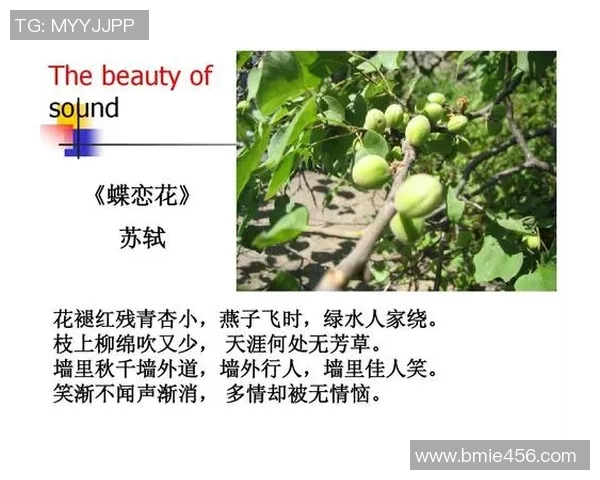 中文vs外语学习的优势与挑战探讨与经验分享